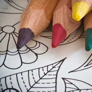 A close up of the tips of colored pencils lying on a floral coloring page